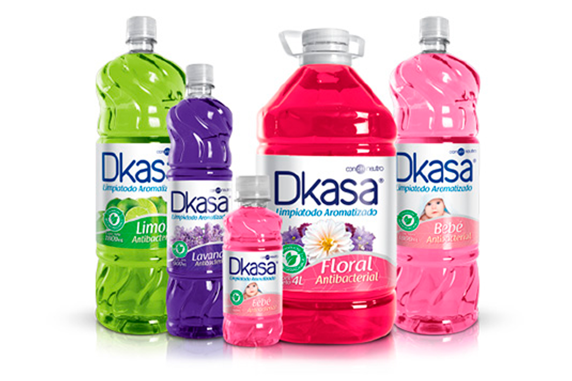 kasa01