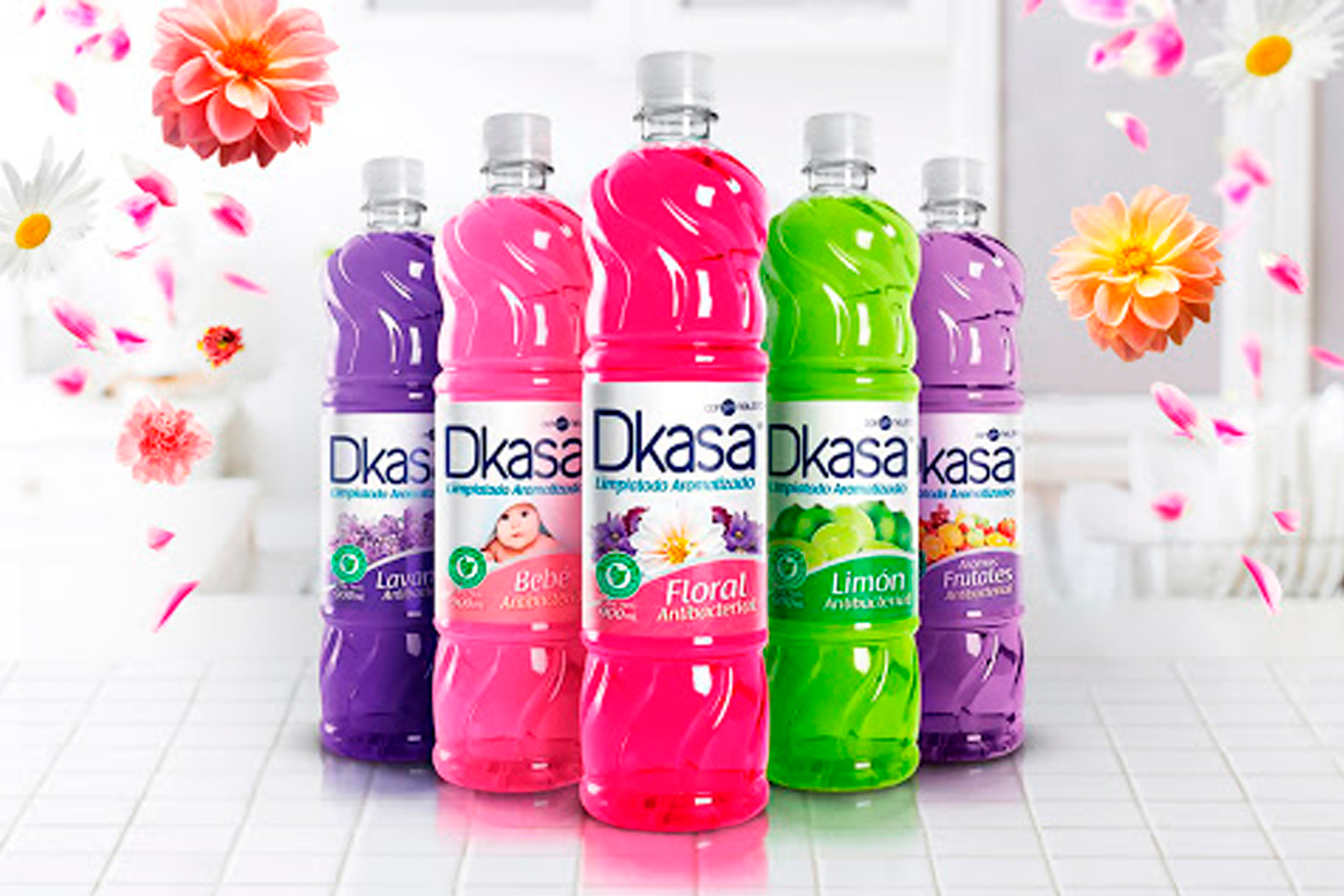 kasa03